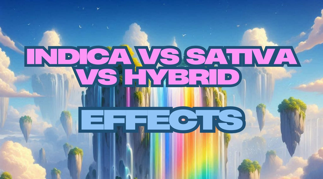 Unveiling Indica and Sativa: Their Distinct Impacts - Tree Spirit Wellness