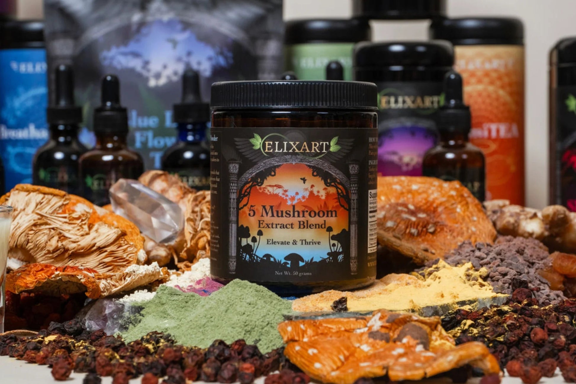 5 Mushroom Blend - Tree Spirit Wellness