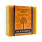 Pumpkin Spice Planted Based Bar Soap