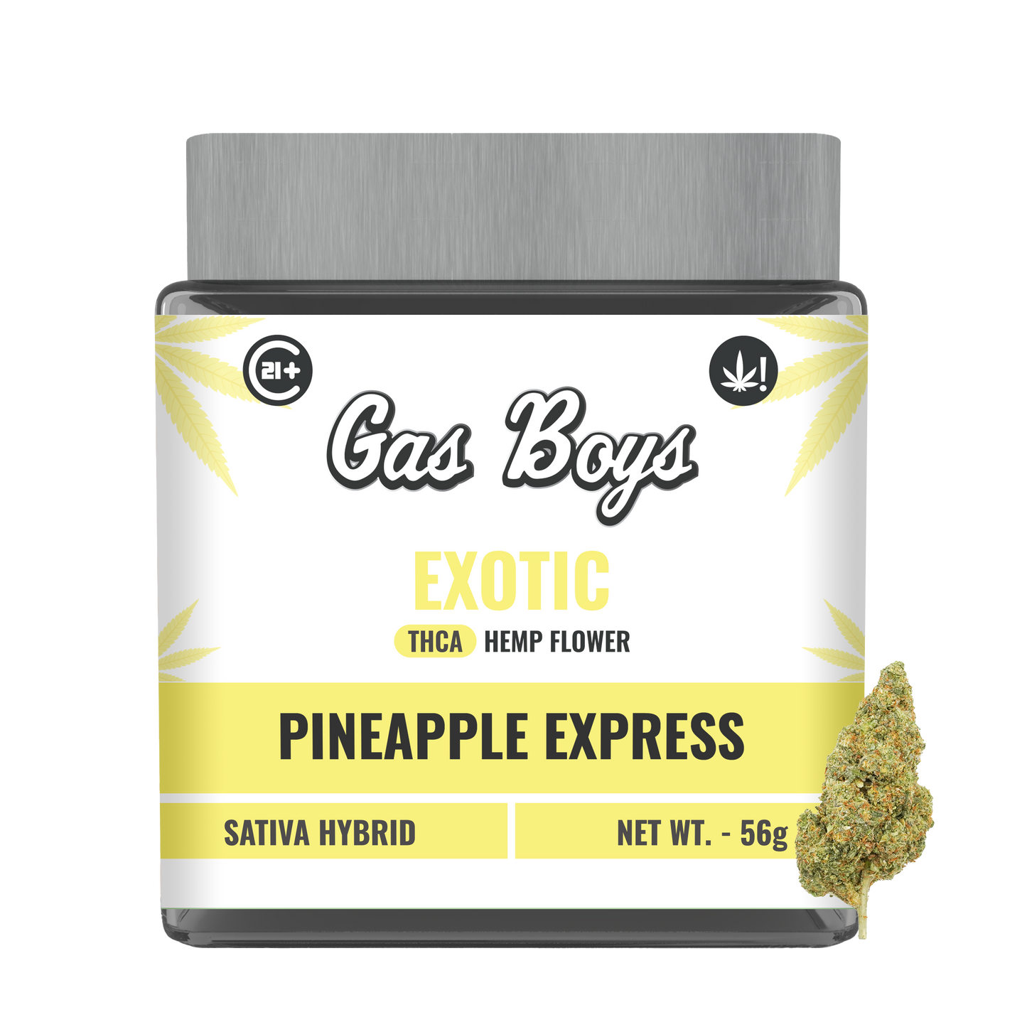 EXOTIC THCA FLOWER JAR - Pineapple Express - Sativa Hybrid - Tree Spirit Wellness