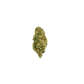 Acapulco Gold BOUTIQUE THCA FLOWER - Sativa (8ct) - Tree Spirit Wellness
