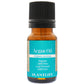 Argan Organic Carrier Oil - TreeSpirit Wellness