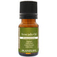 Organic Avocado Oil - Tree Spirit Wellness
