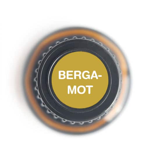 Bergamot Essential oil - 15ml - Tree Spirit Wellness
