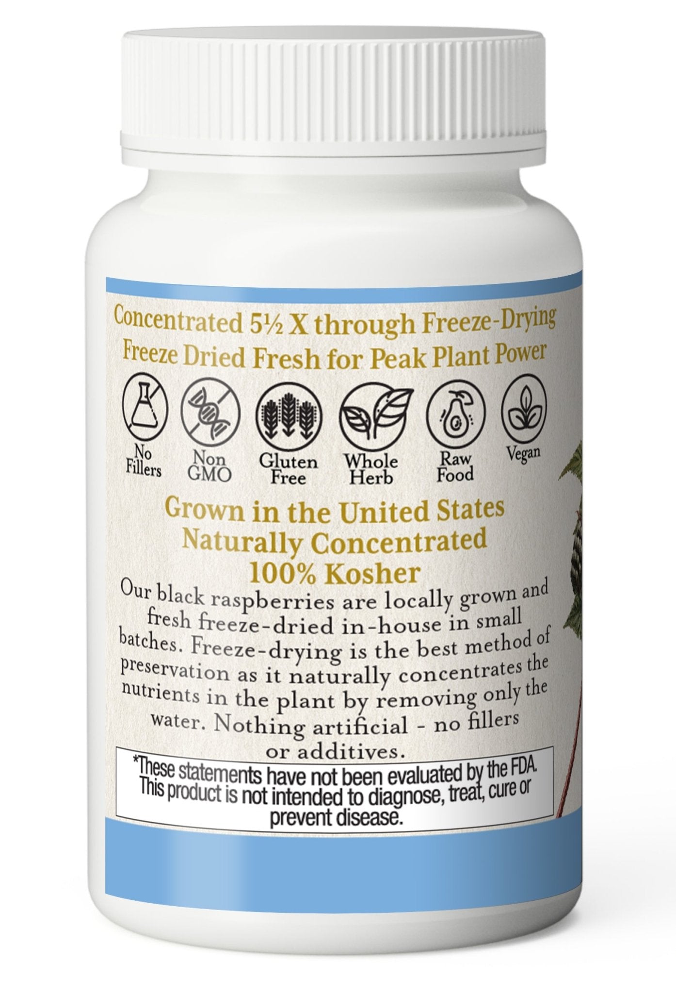 BLACK RASPBERRY CAPSULES - Tree Spirit Wellness