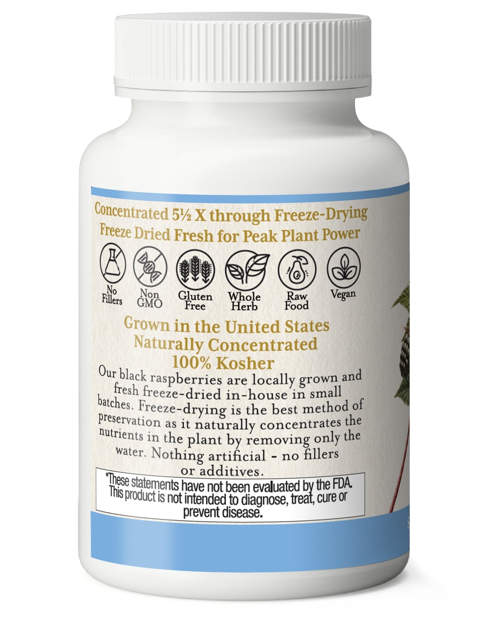 BLACK RASPBERRY CAPSULES - Tree Spirit Wellness