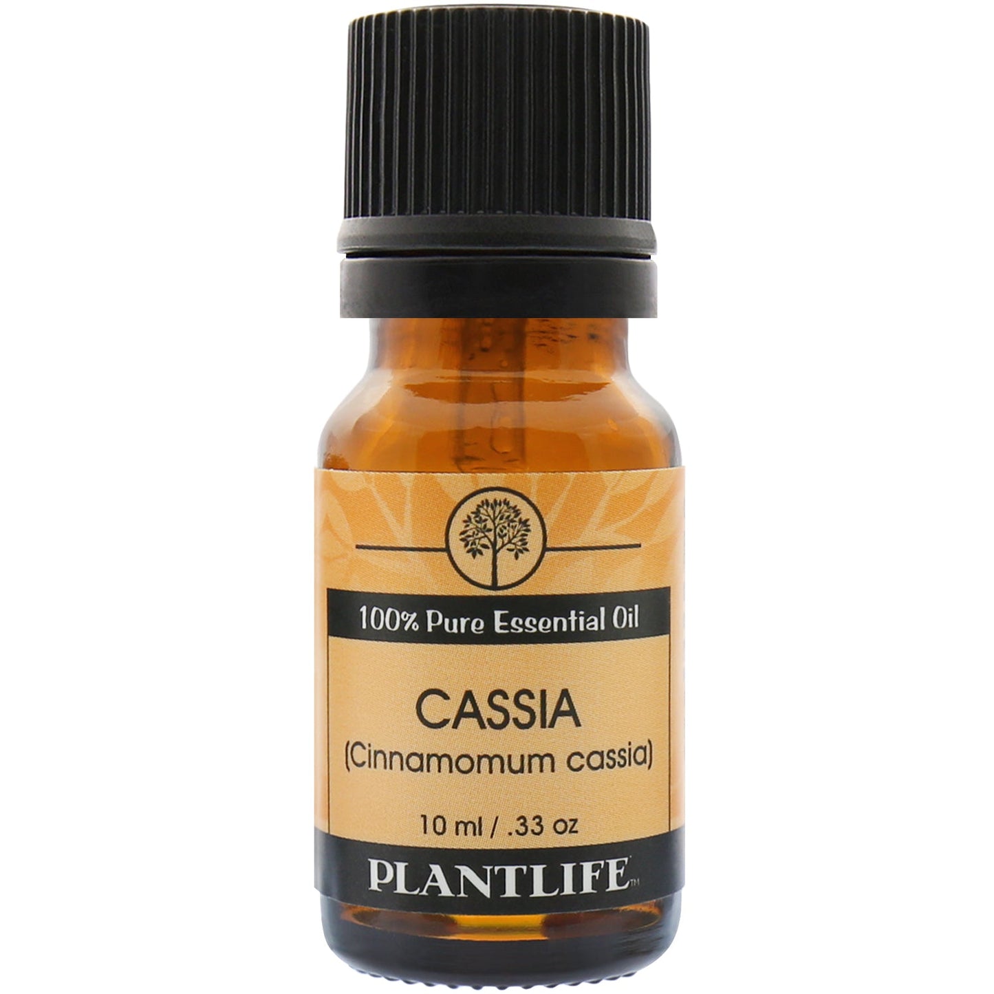 Cassia Essential Oil - Tree Spirit Wellness
