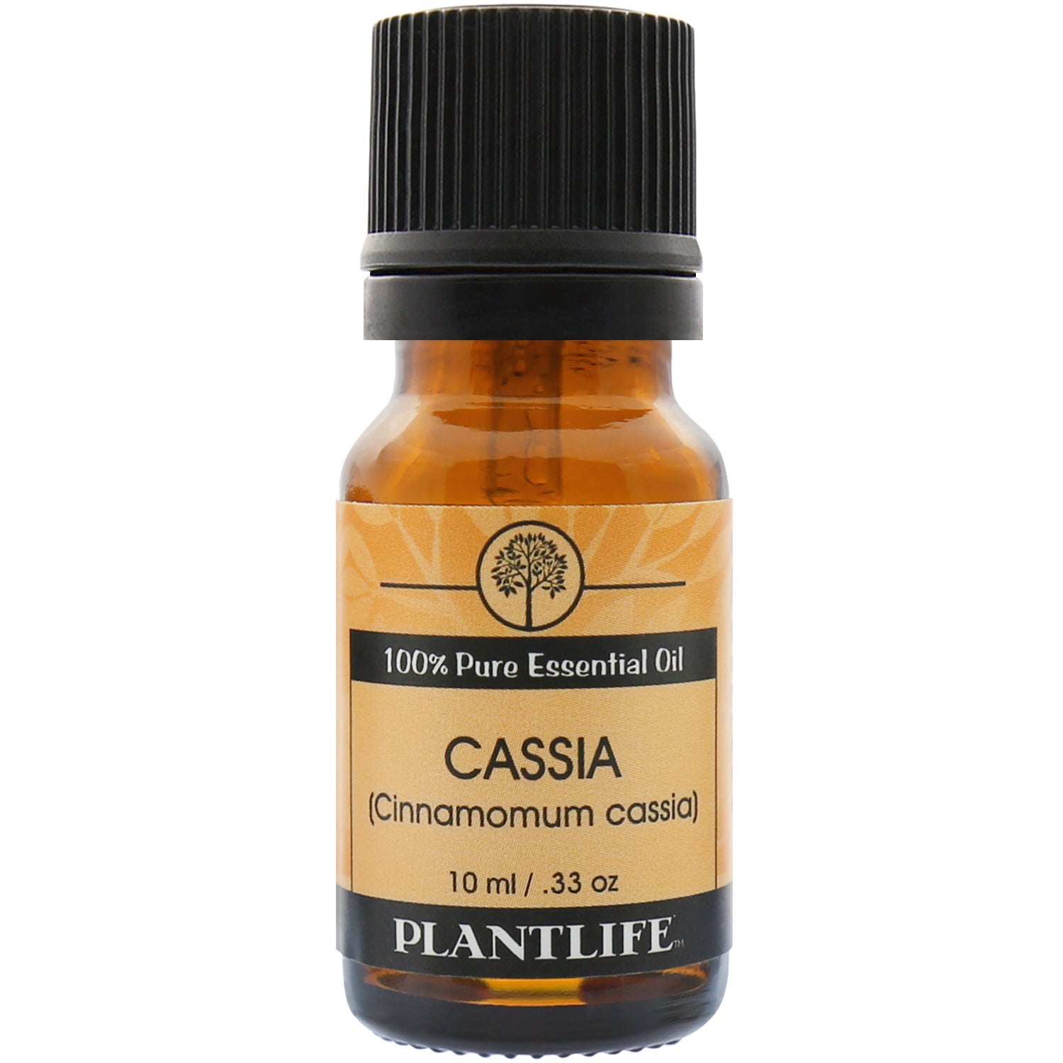 Cassia Essential Oil - Tree Spirit Wellness