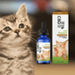 CBD Calming Cat Tincture 150 mg - Tree Spirit Wellness