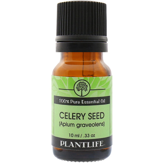 Celery Seed Essential Oil - Tree Spirit Wellness