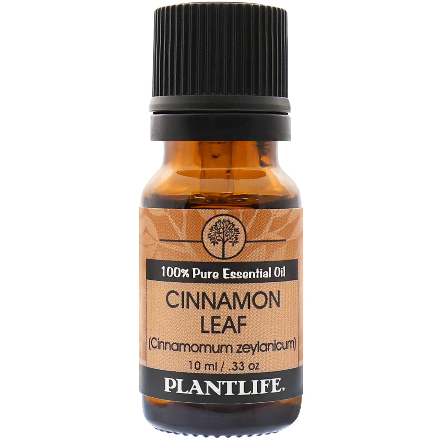 Cinnamon Leaf Essential Oil - Tree Spirit Wellness