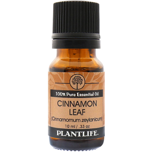 Cinnamon Leaf Essential Oil - Tree Spirit Wellness