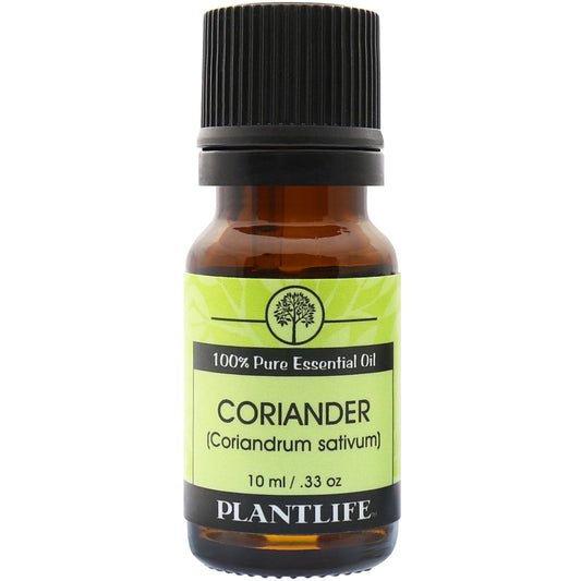 Coriander Essential Oil - Tree Spirit Wellness