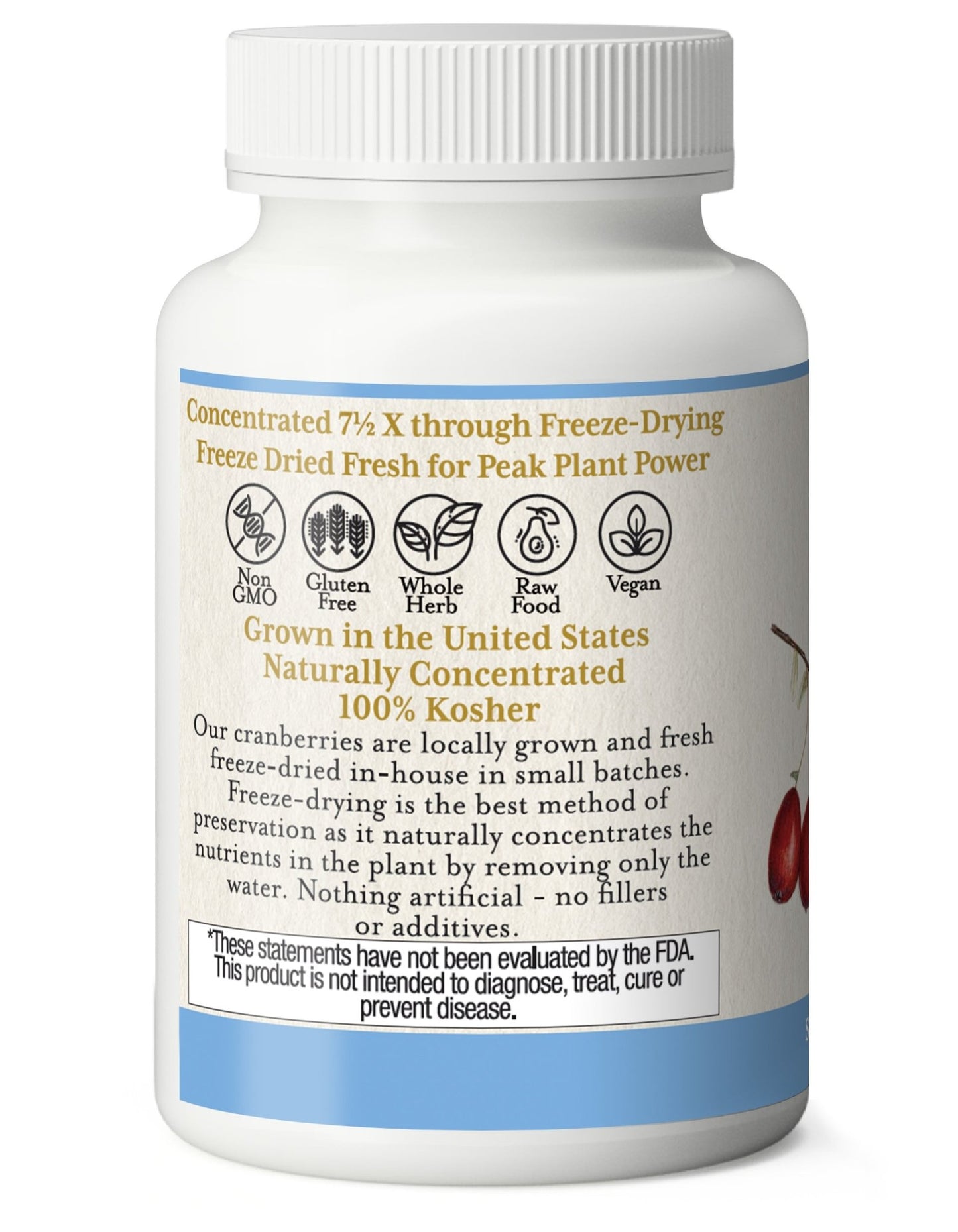 CRANBERRY CAPSULES - Tree Spirit Wellness