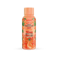 Delta 9 Hemp Shots – Lazy Peach (Case of 12) - Tree Spirit Wellness