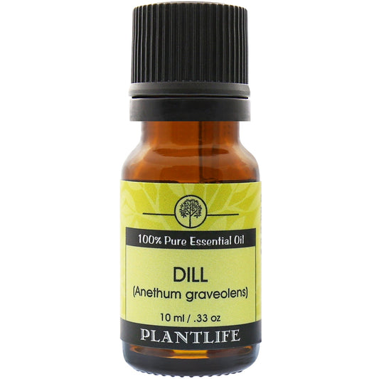 Dill Organic Essential Oil - Tree Spirit Wellness