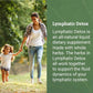Earth Harmony - Lymphatic Detox and Drainage Cleanse - Tree Spirit Wellness