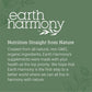 Earth Harmony - Lymphatic Detox and Drainage Cleanse - Tree Spirit Wellness