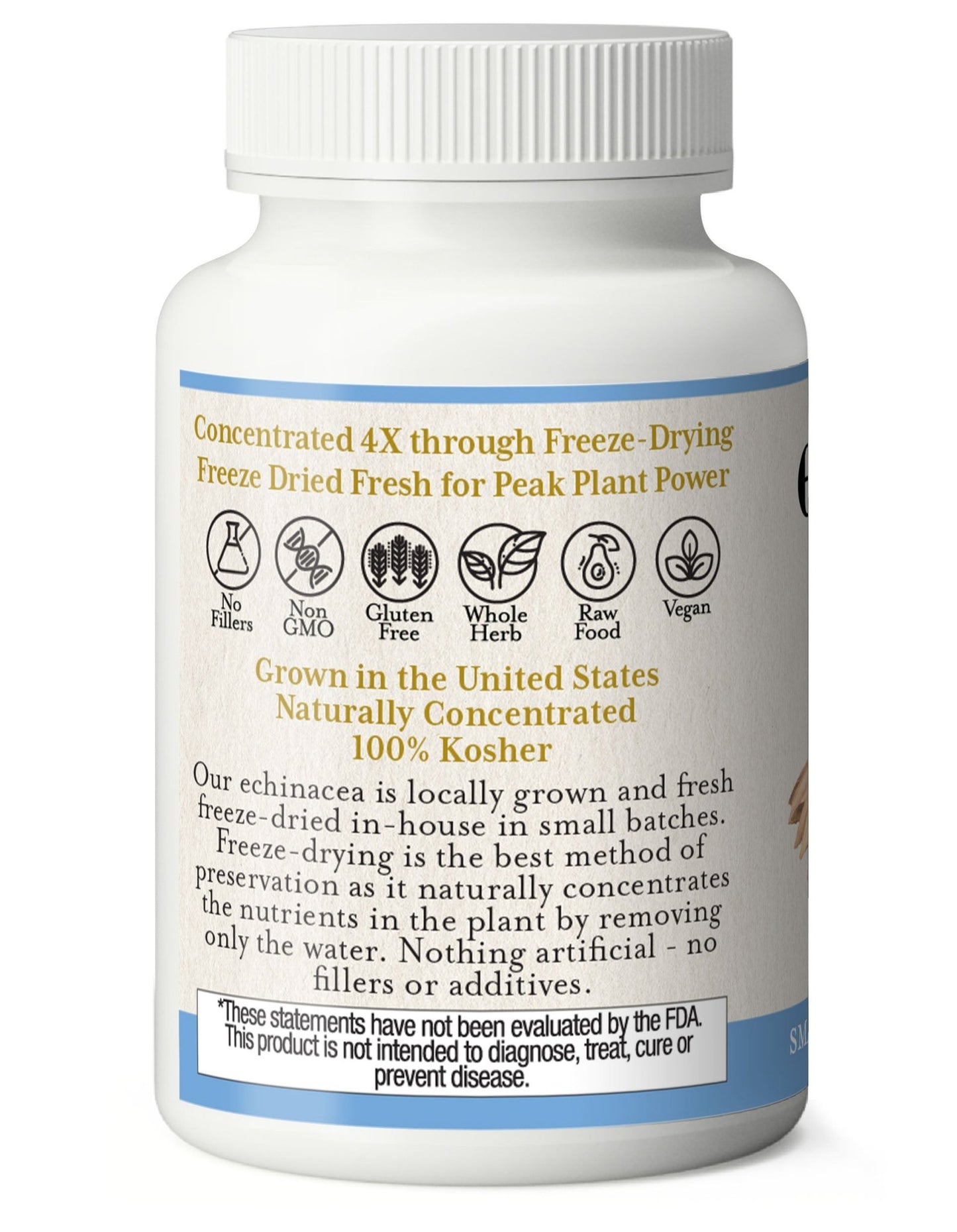 ECHINACEA ANGUSTIFOLIA CAPSULES - Tree Spirit Wellness