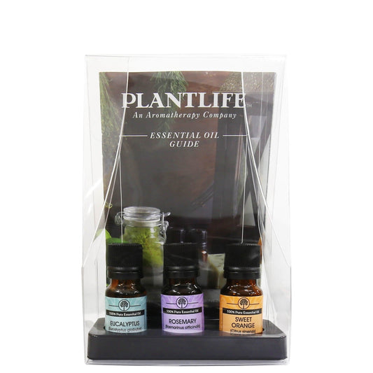 Essential Oil 3 Pack With Guide - Tree Spirit Wellness