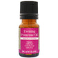 Evening Primrose Oil - Tree Spirit Wellness
