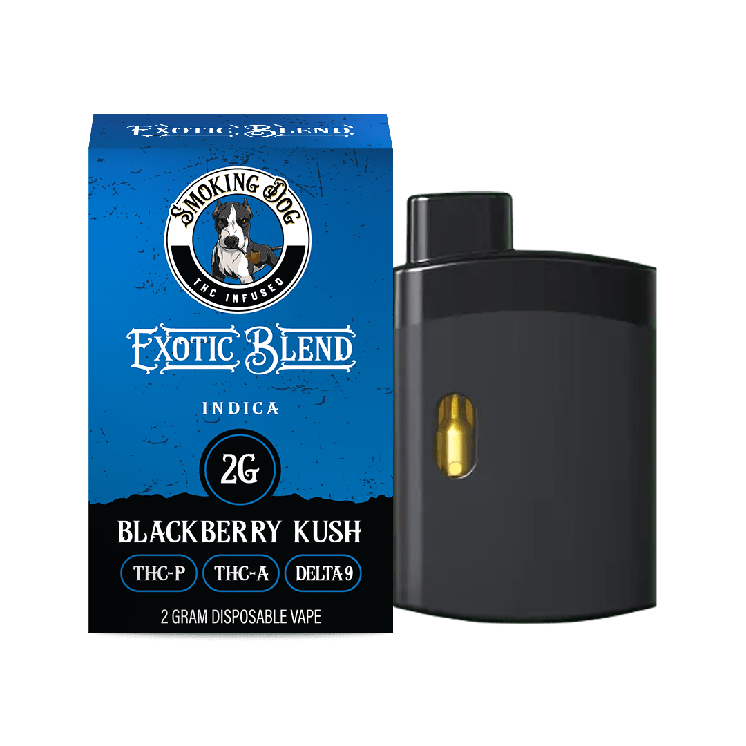 EXOTIC BLEND Disposable Vape 2 Gram - Tree Spirit Wellness