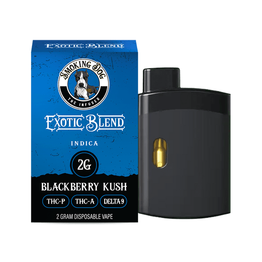 EXOTIC BLEND Disposable Vape 2 Gram - Tree Spirit Wellness