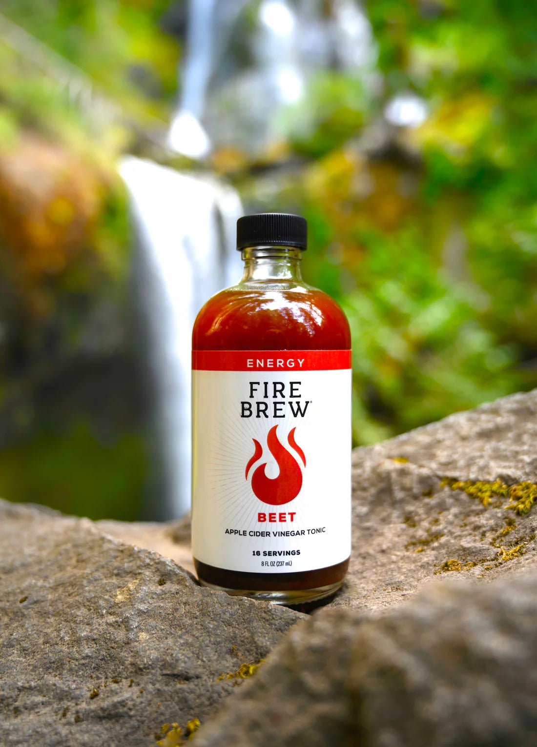 Fire Brew - Energy Beet Apple Cider Vinegar (Fire Cider) Tonic - Tree Spirit Wellness