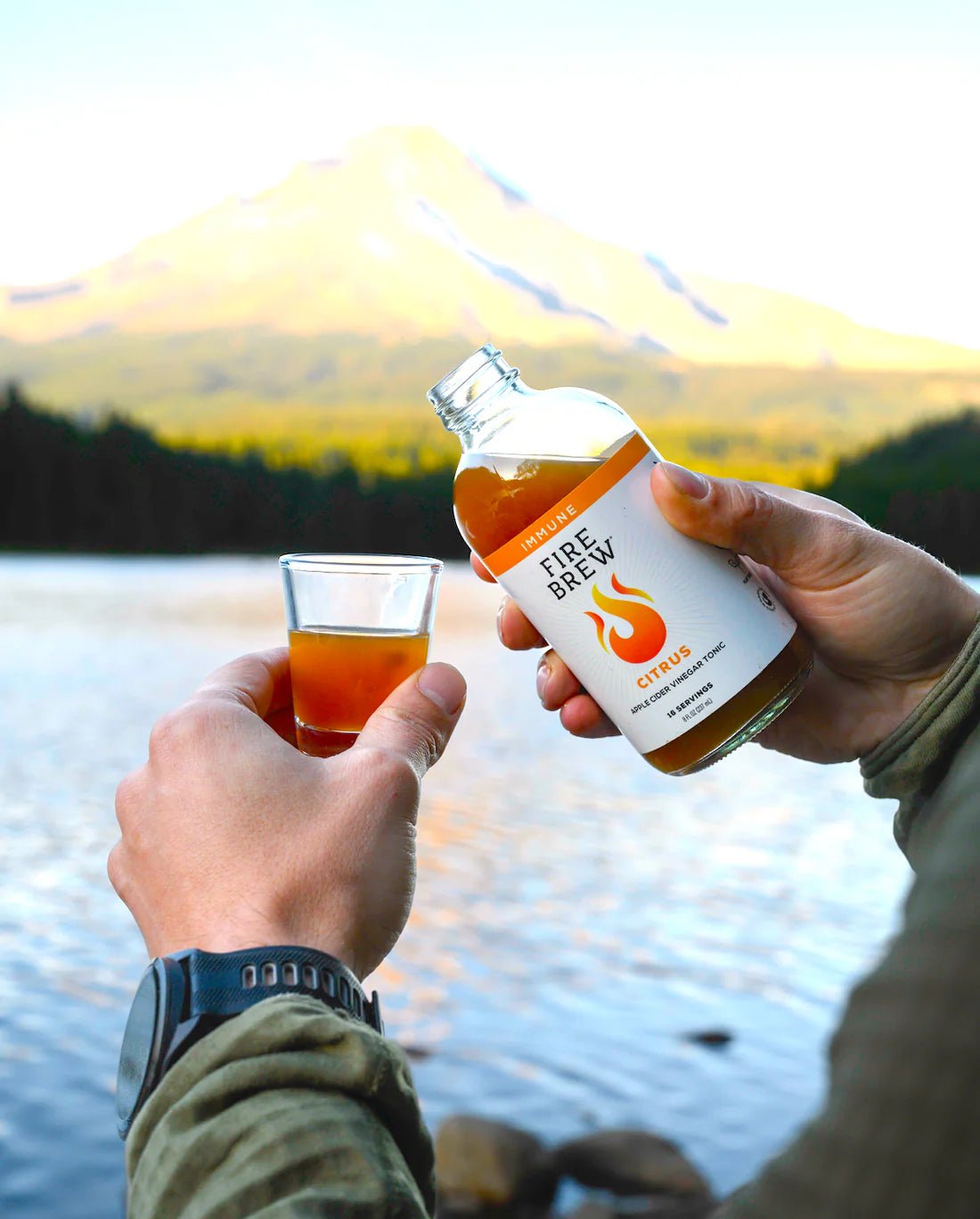 Fire Brew - Immune Citrus Apple Cider Vinegar (Fire Cider) Tonic - Tree Spirit Wellness