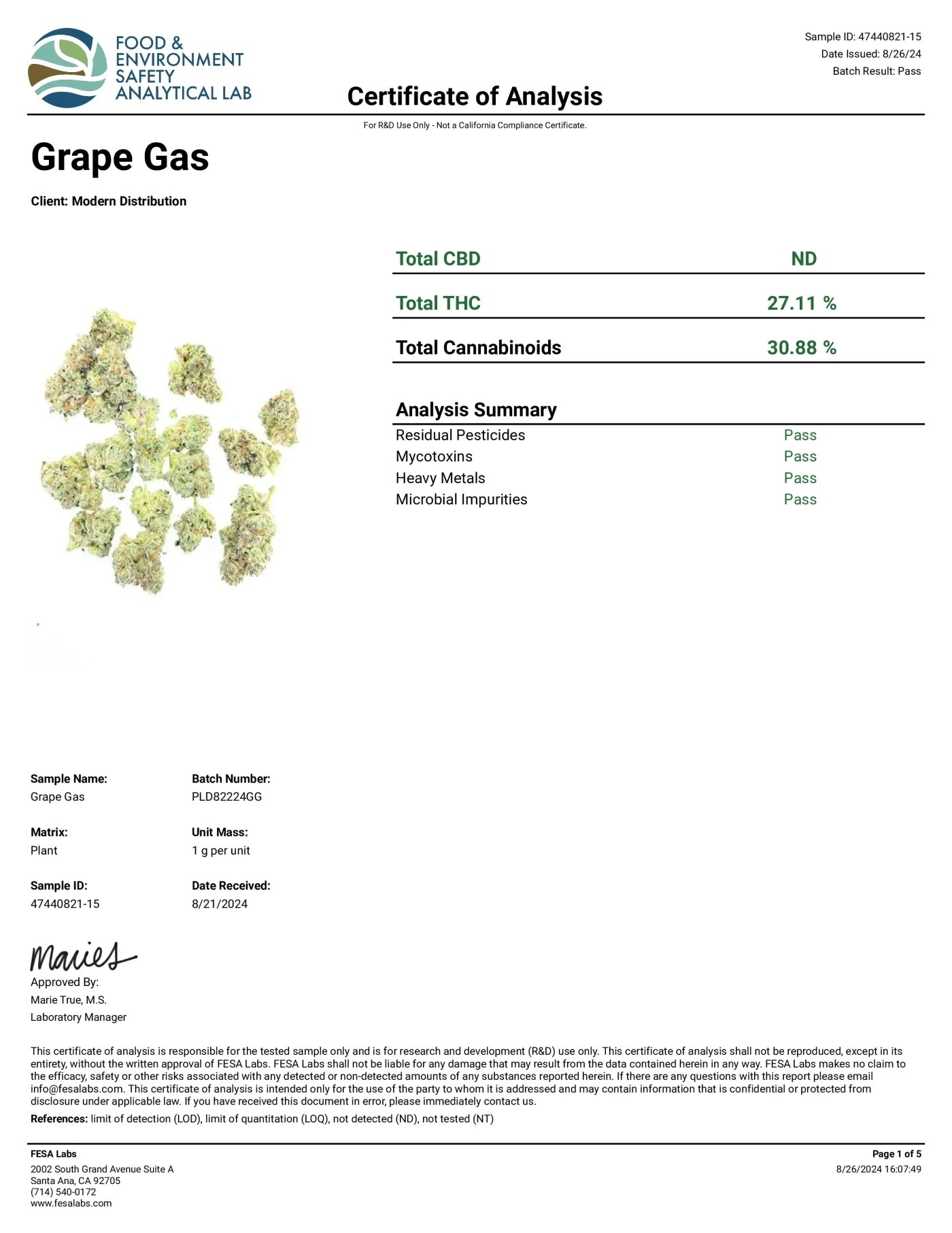 GRAPE GAS EXOTIC THCA FLOWER - Indica Hybrid (8ct) - Tree Spirit Wellness