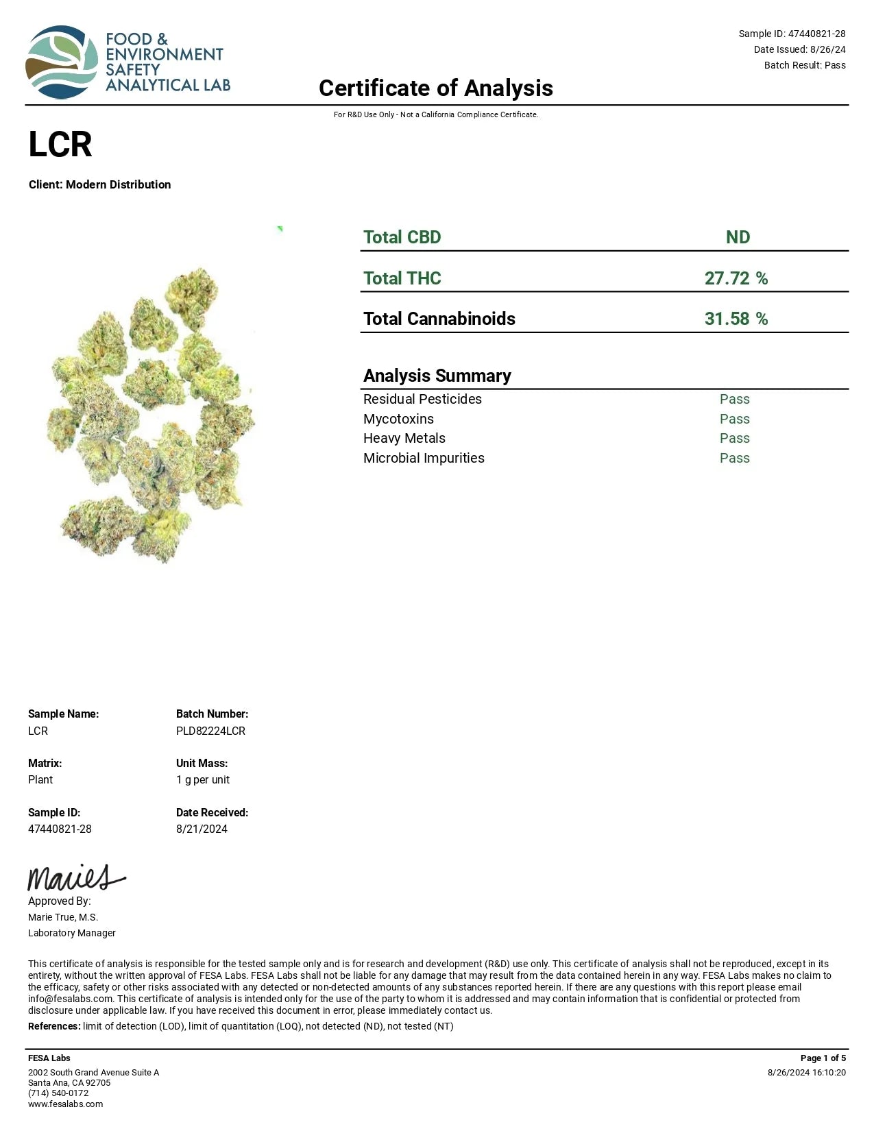 ICE HASH + EXOTIC KIEF INFUSED PRE - ROLL - Lemon Cherry Runtz - Hybrid 8ct - Tree Spirit Wellness