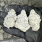 JGO THCa Diamond Infused 7g Flower Jar (SNOW BUDZ) - Tree Spirit Wellness