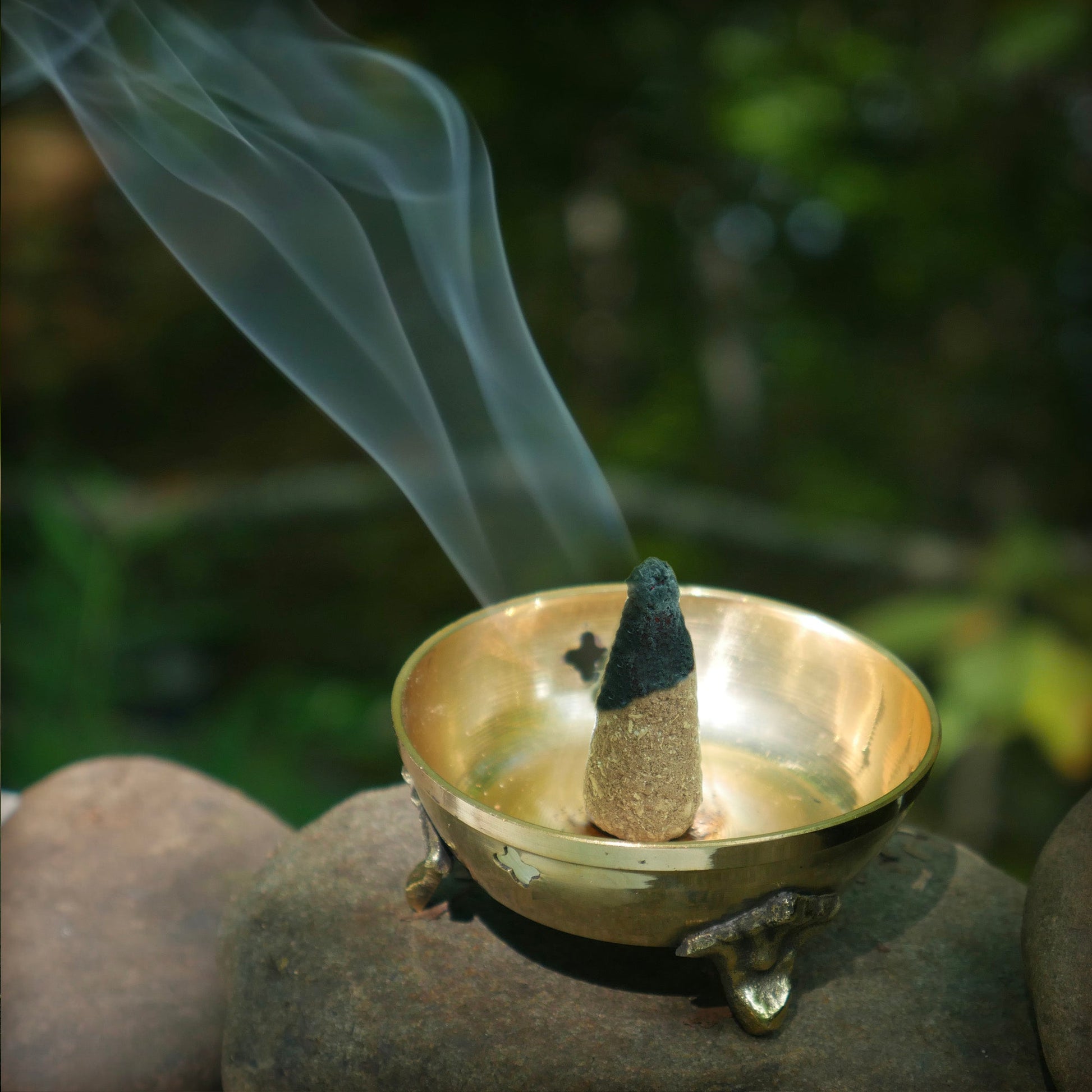 Kit - Palo Santo Cinnamon Cones with Burner - Tree Spirit Wellness