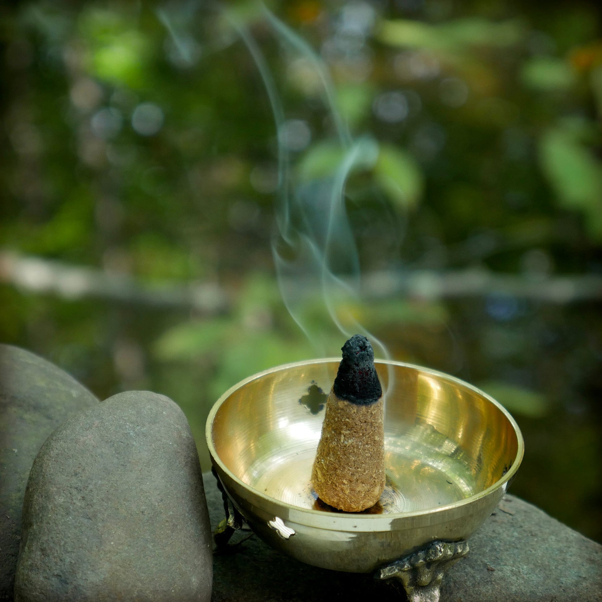 Kit - Palo Santo Traditional Cones with Burner - Tree Spirit Wellness