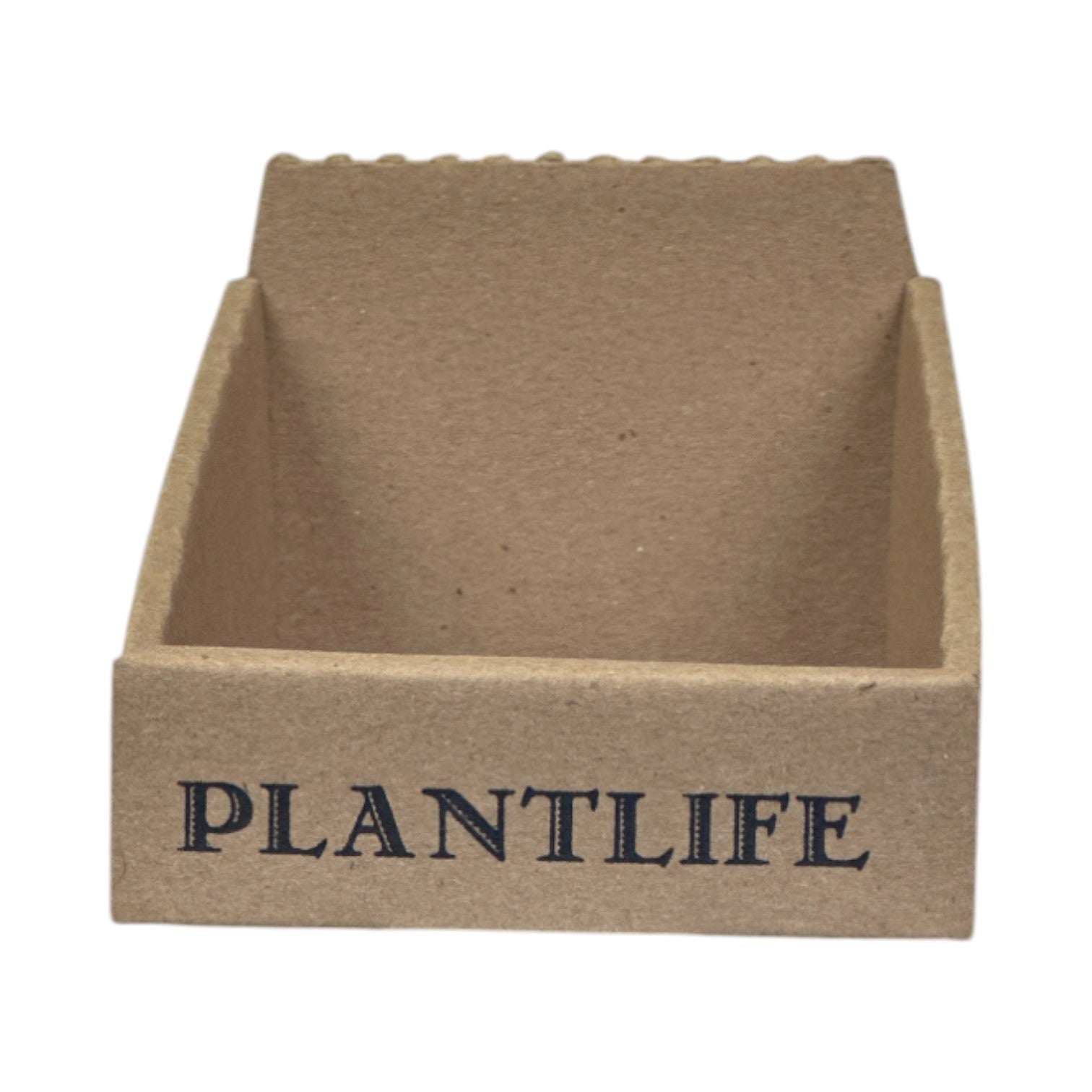 Lavender Bar Soap -  box of 6 - Tree Spirit Wellness