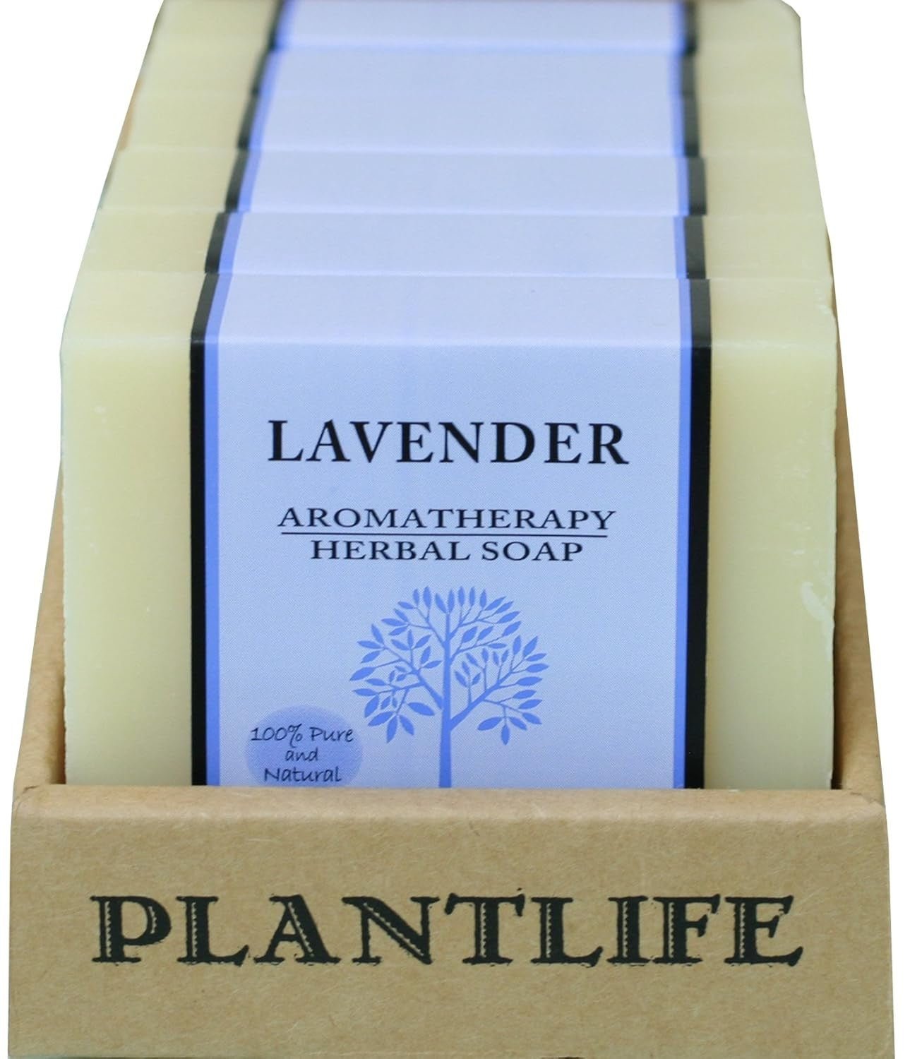 Lavender Bar Soap -  box of 6 - Tree Spirit Wellness