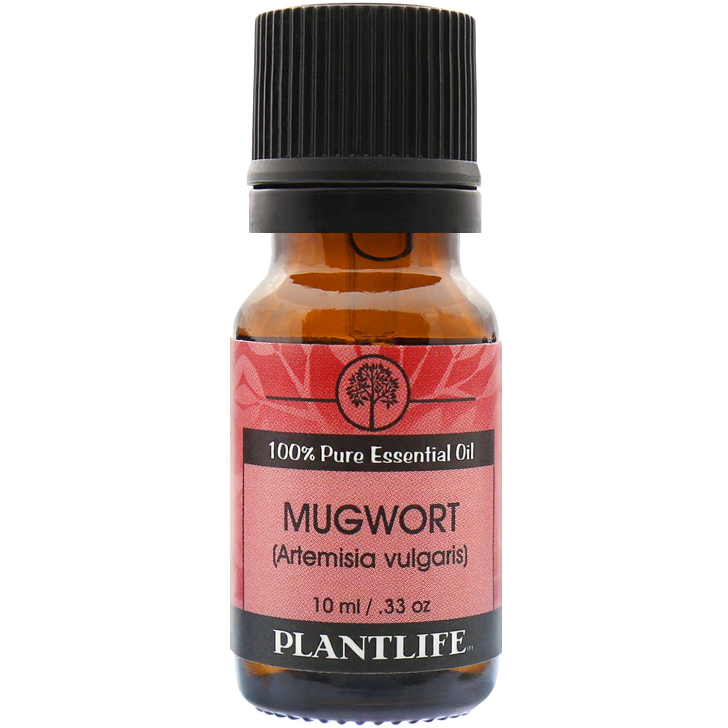 Mugwort Essential Oil - Tree Spirit Wellness