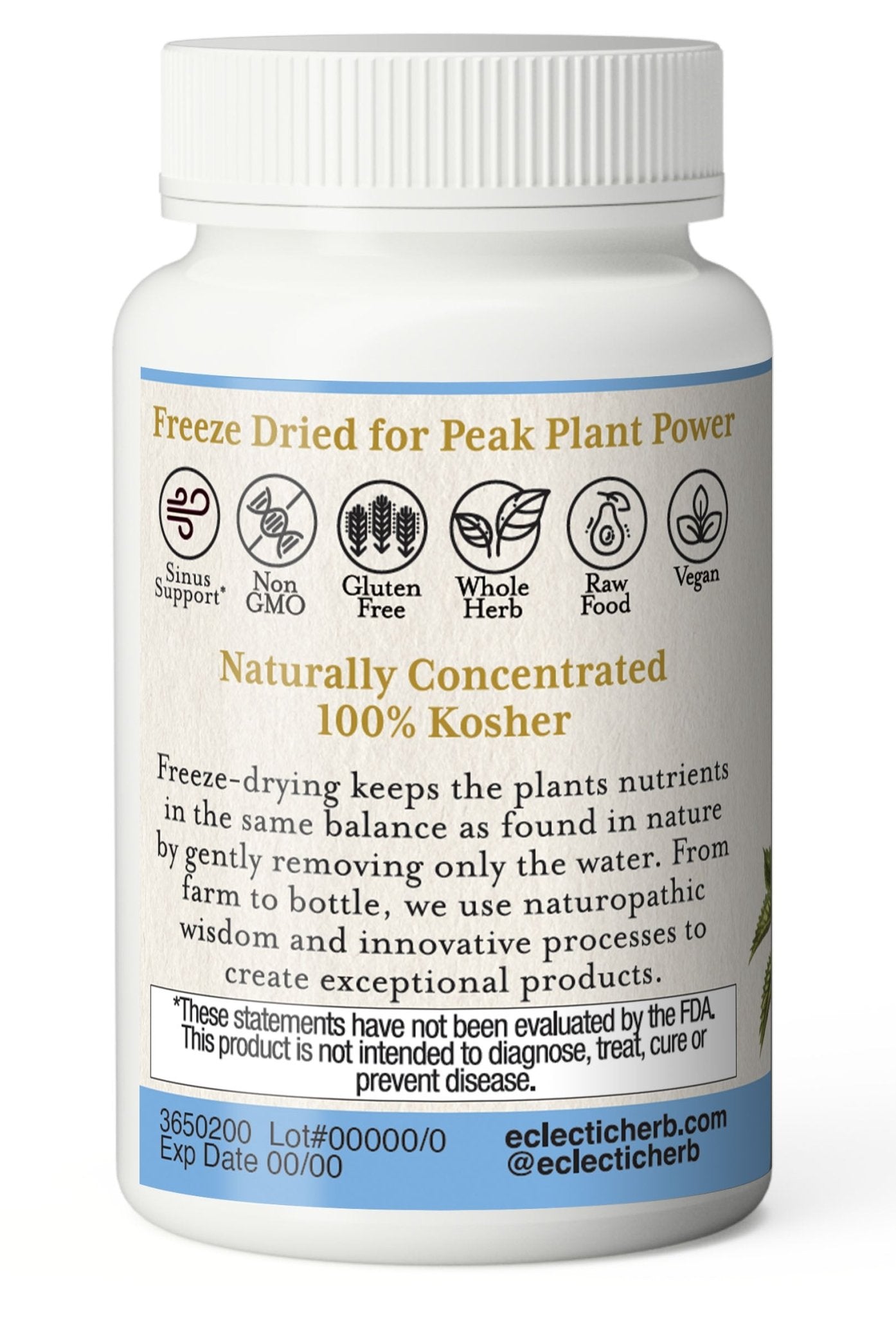 NETTLES - QUERCETIN CAPSULES - Tree Spirit Wellness