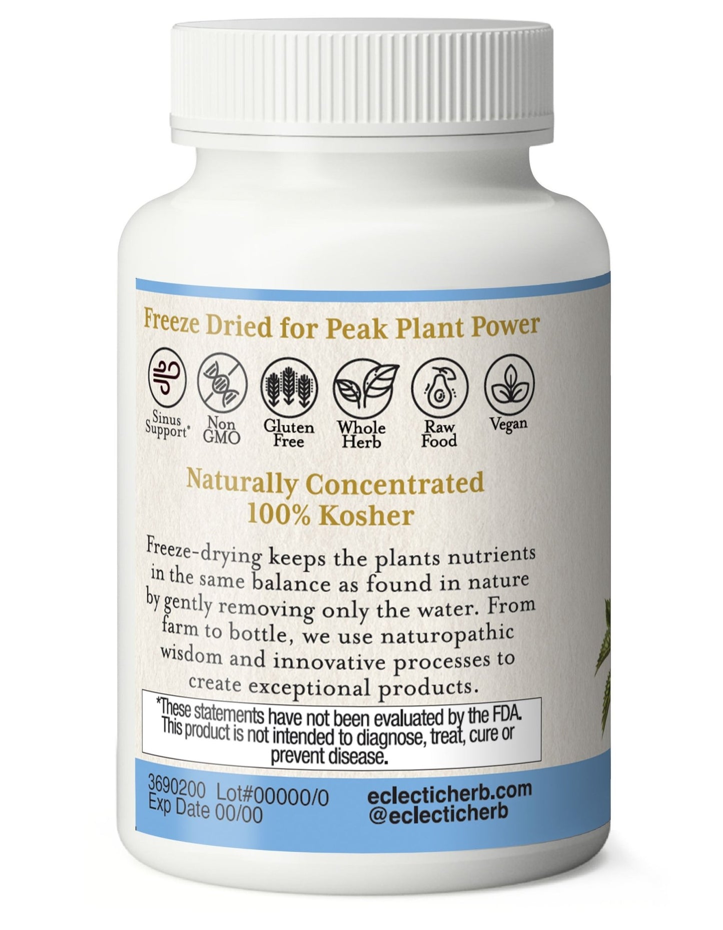 NETTLES - QUERCETIN CAPSULES - Tree Spirit Wellness