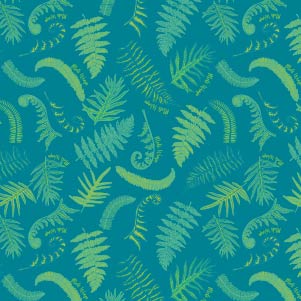 NEW Fern Packs - Tree Spirit Wellness