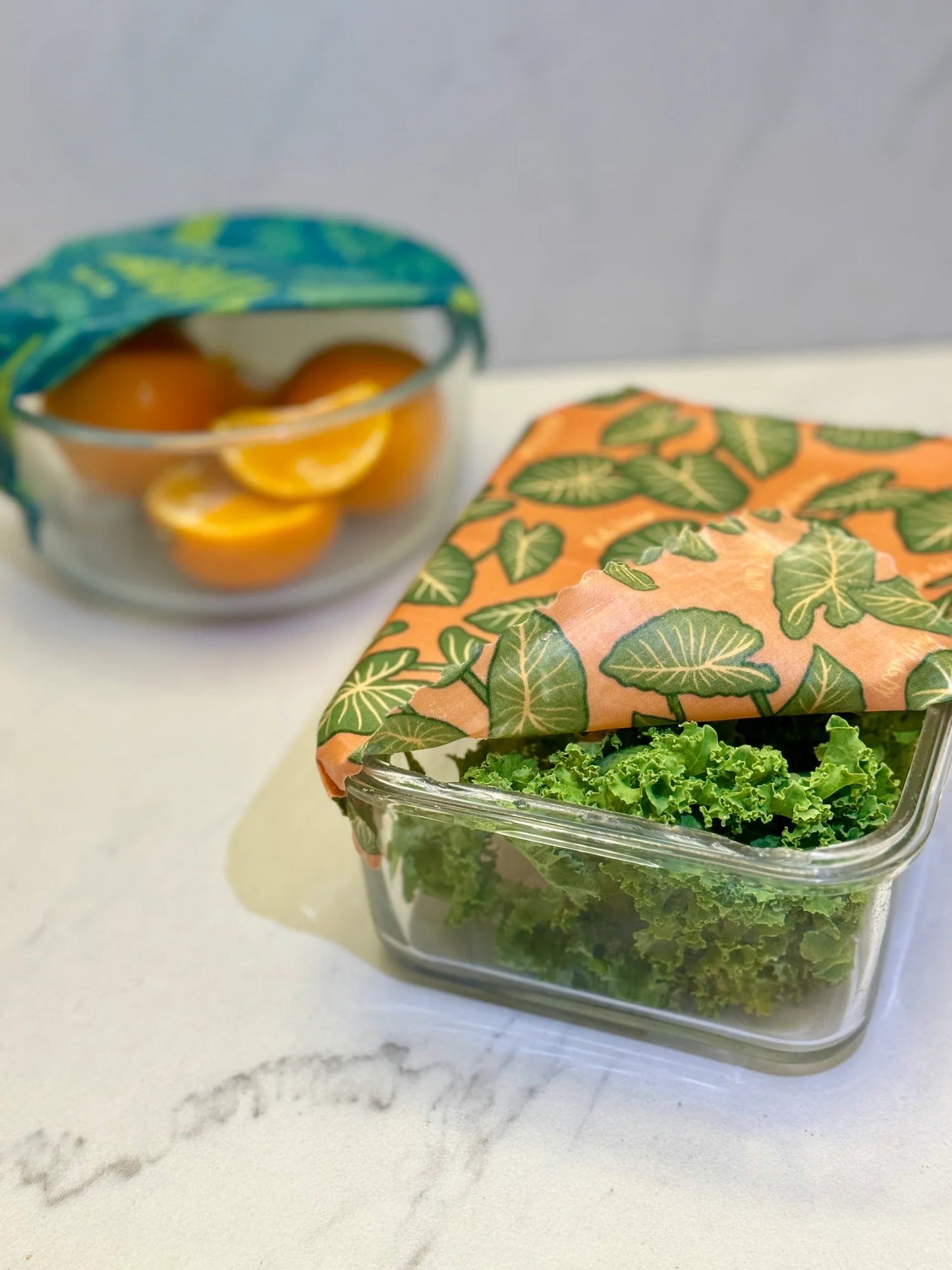 NEW Fern Packs - Tree Spirit Wellness