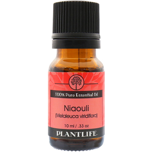 Niaouli Essential Oil - Tree Spirit Wellness