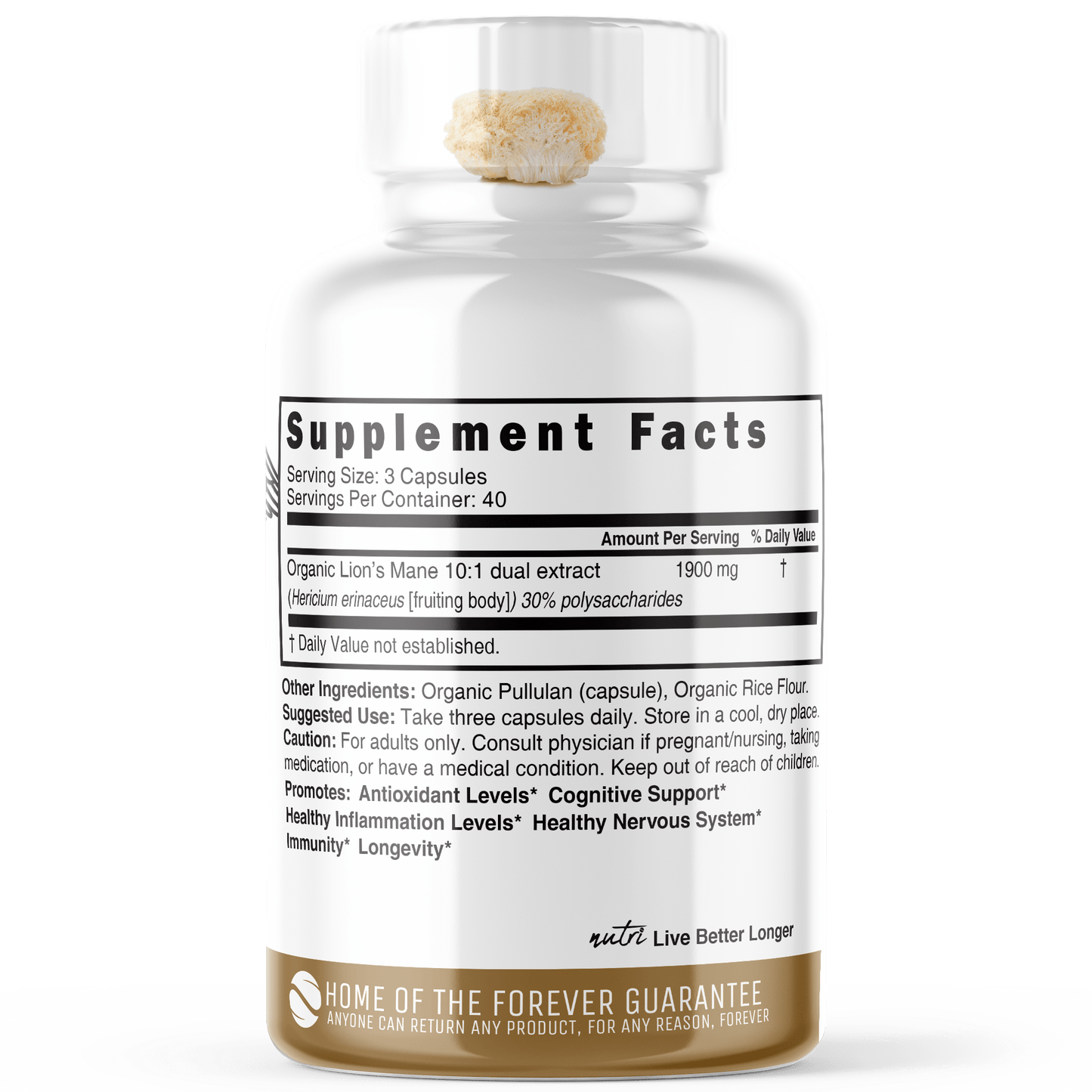 NUTRI Lion's Mane 1900mg - ORGANIC 120 capsules - Tree Spirit Wellness