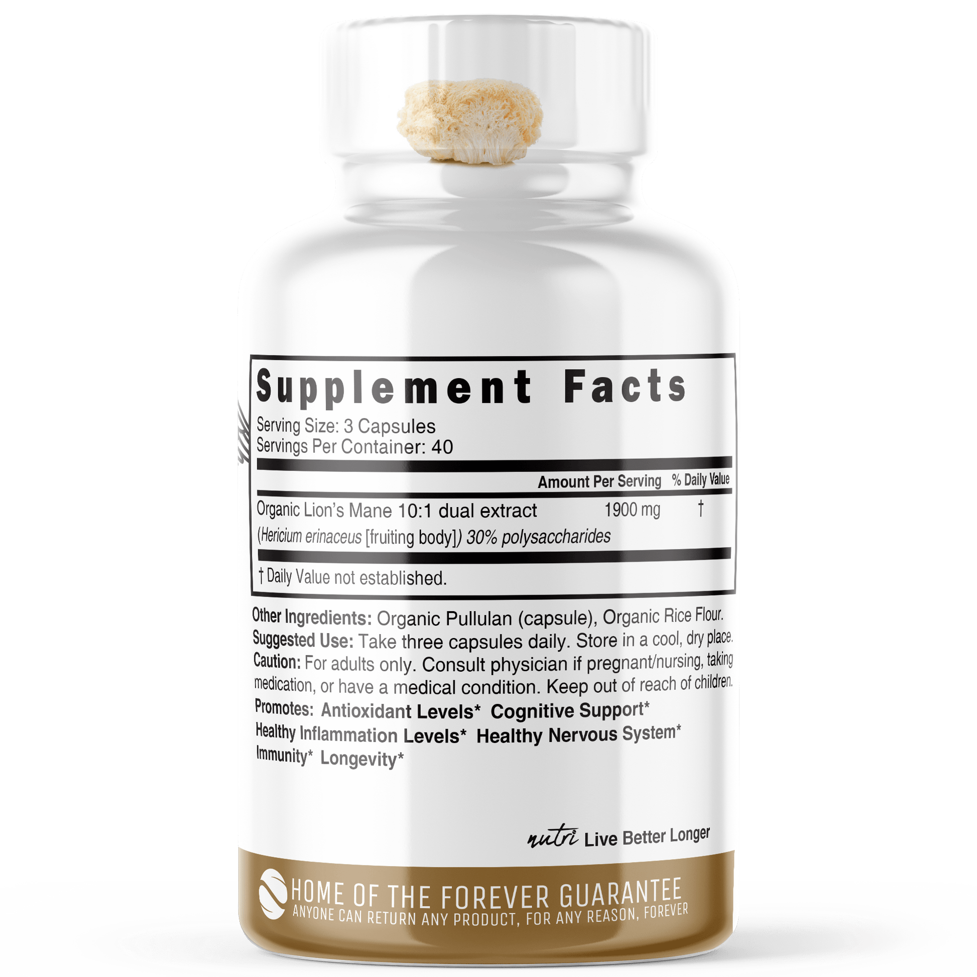 NUTRI Lion's Mane 1900mg - ORGANIC 120 capsules - Tree Spirit Wellness