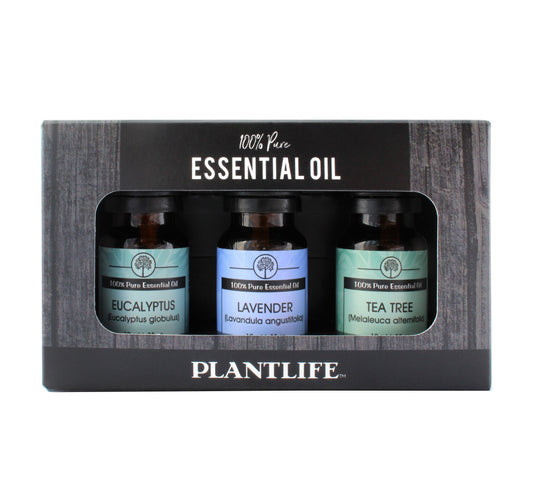 Top Single Notes 3 Pack - Tree Spirit Wellness