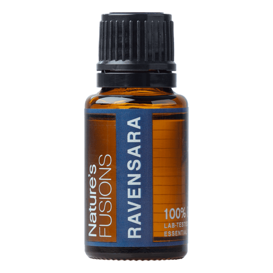 Ravensara Essential oil - 15ml - Tree Spirit Wellness