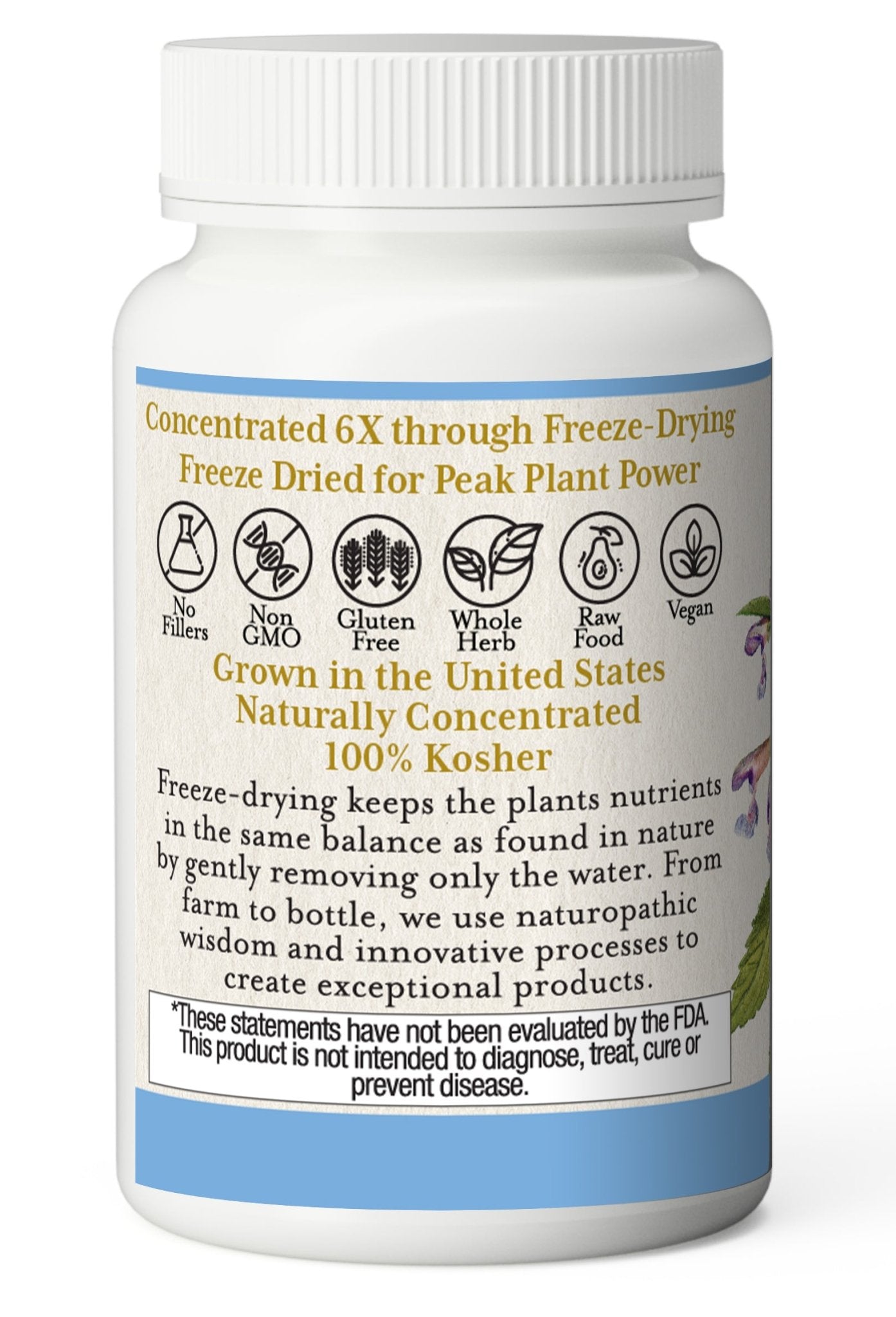 SKULLCAP CAPSULES - Tree Spirit Wellness