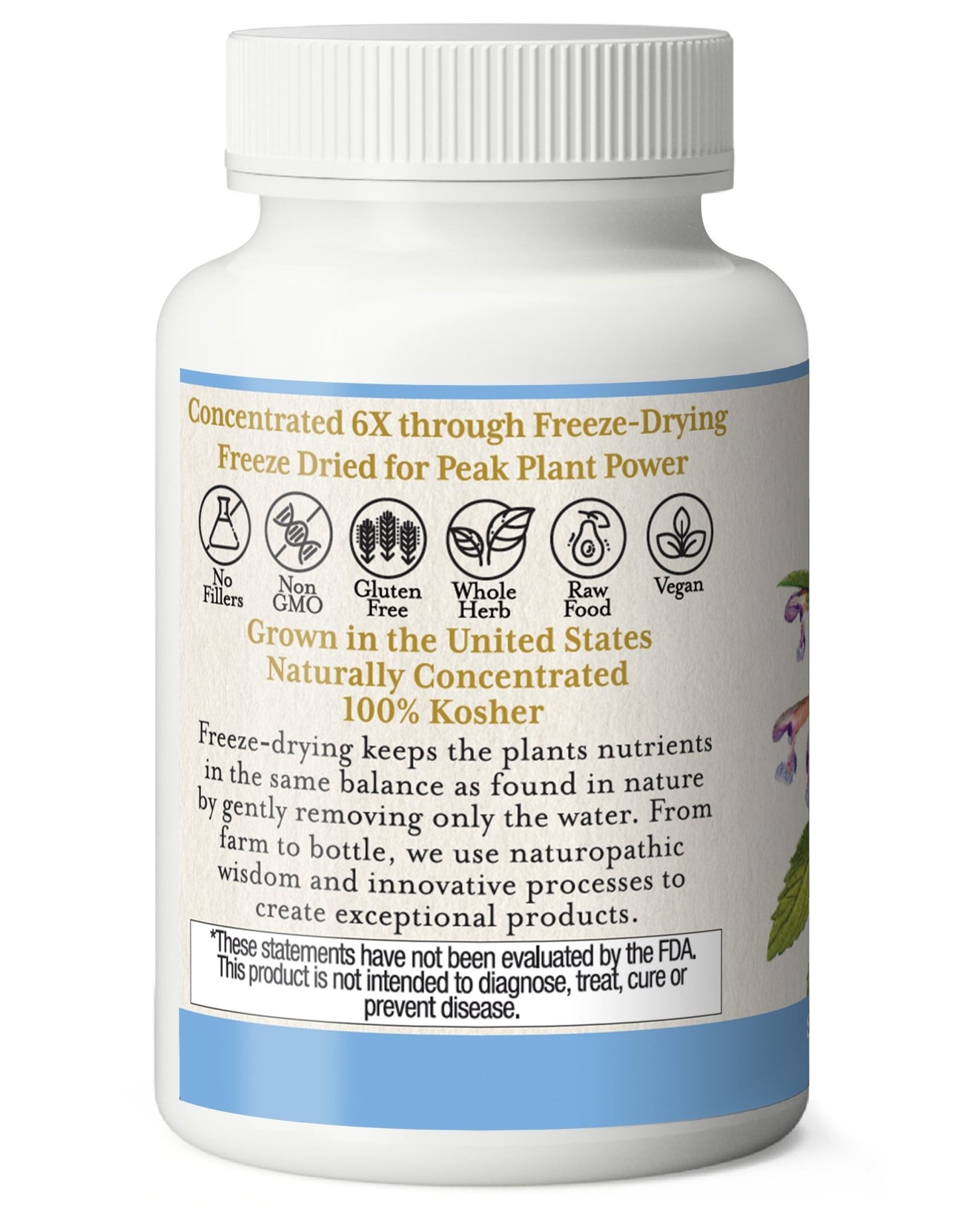 SKULLCAP CAPSULES - Tree Spirit Wellness