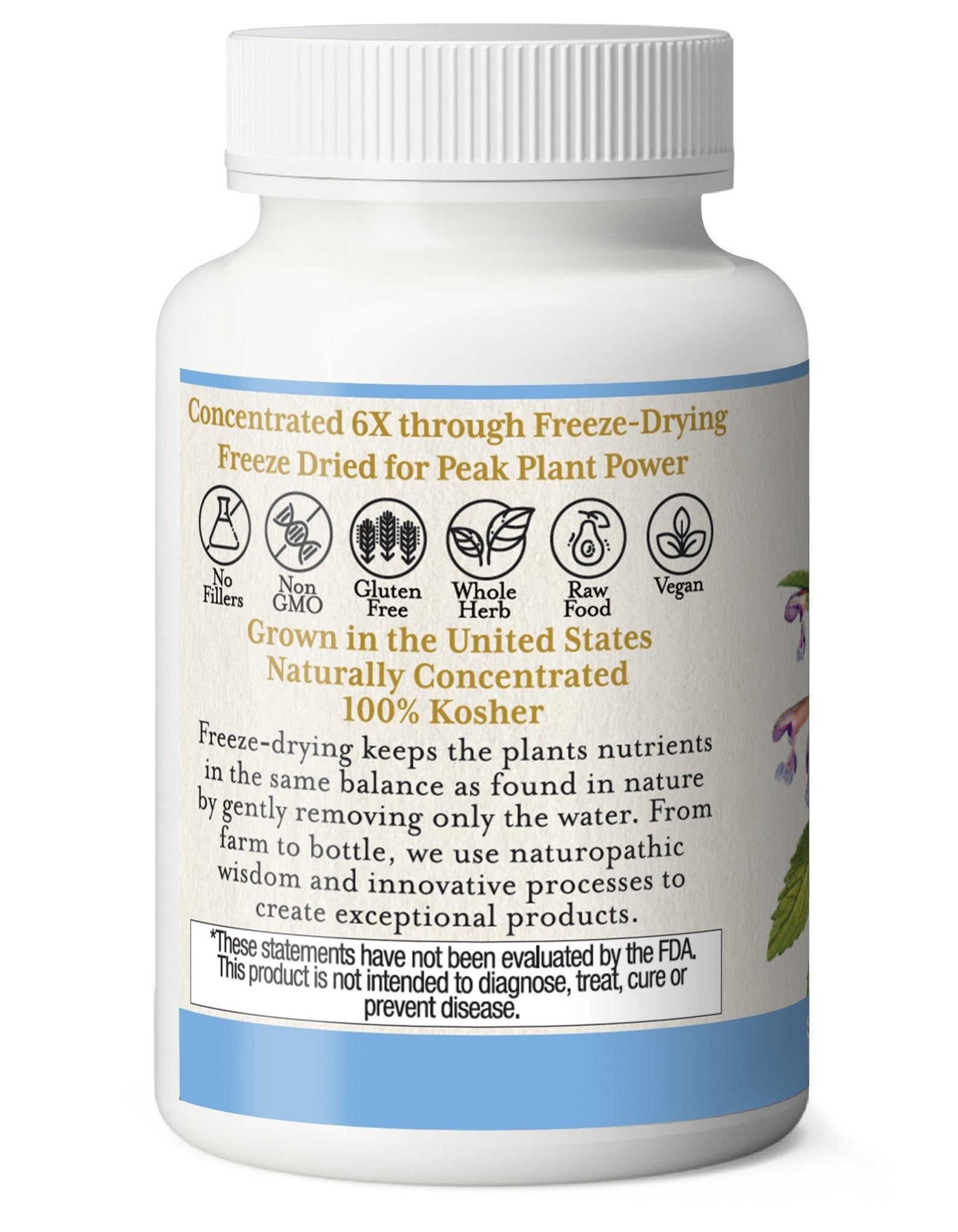SKULLCAP CAPSULES - Tree Spirit Wellness