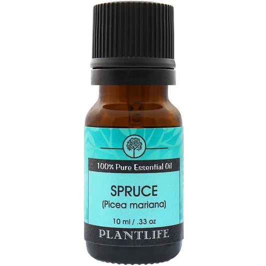 Spruce Essential Oil - Tree Spirit Wellness